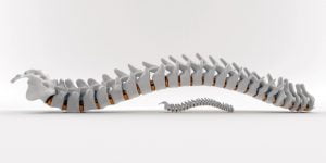 “Oh my aching back!” – Avoiding Lower Back Problems “Oh my aching back!” – Avoiding Lower Back Problems