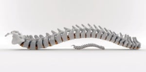 Posture Basics Chiro-East-Van-300×149